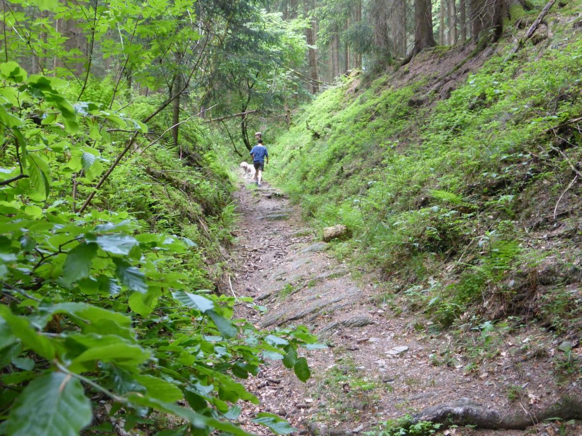 Kueken Winterberg Exterior foto